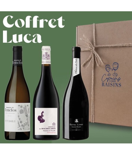Coffret Luca - 100% BIO - Vin rouge