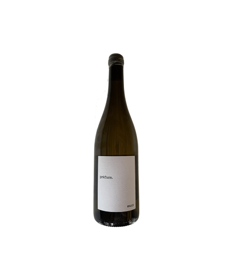 Famille Todeschini - Préface 2022 - merlot blanc - vin de France bio