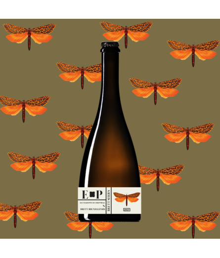 Brett Série - Bière de blé au coing - Brasserie Effet Papillon - Biere artisanale de Bordeaux