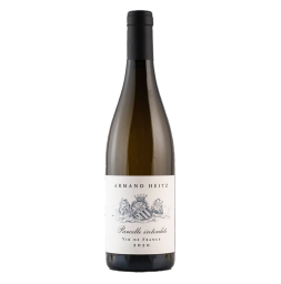 Parcelle interdite 2020 - Sauvignon blanc de Armand Heitz - Vin de Bourgogne