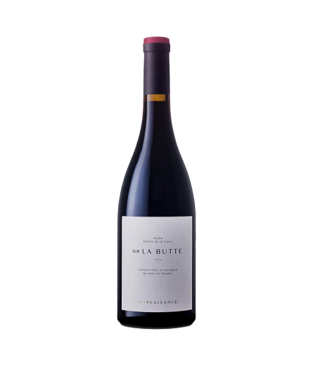 Sur la Butte 2020 - Vins rouge Anjou - Vin Loire biodynamie - Château de Plaisance