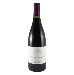 Domaine Modat - Sans Plus Attendre 2018 - Côtes du Roussillon