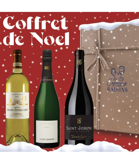 Coffret de Noël - Fêtes de fin d'année - Copains comme Raisins