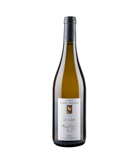 Les Gâts 2015 _ Domaine Patrick Baudouin - chenin d'Anjou - vin de Loire
