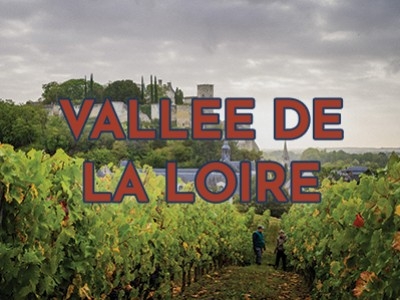 Tout savoir sur les vins de la Loire